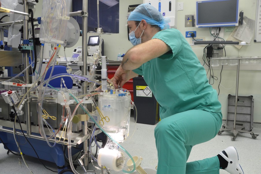 What is a clinical perfusionist?