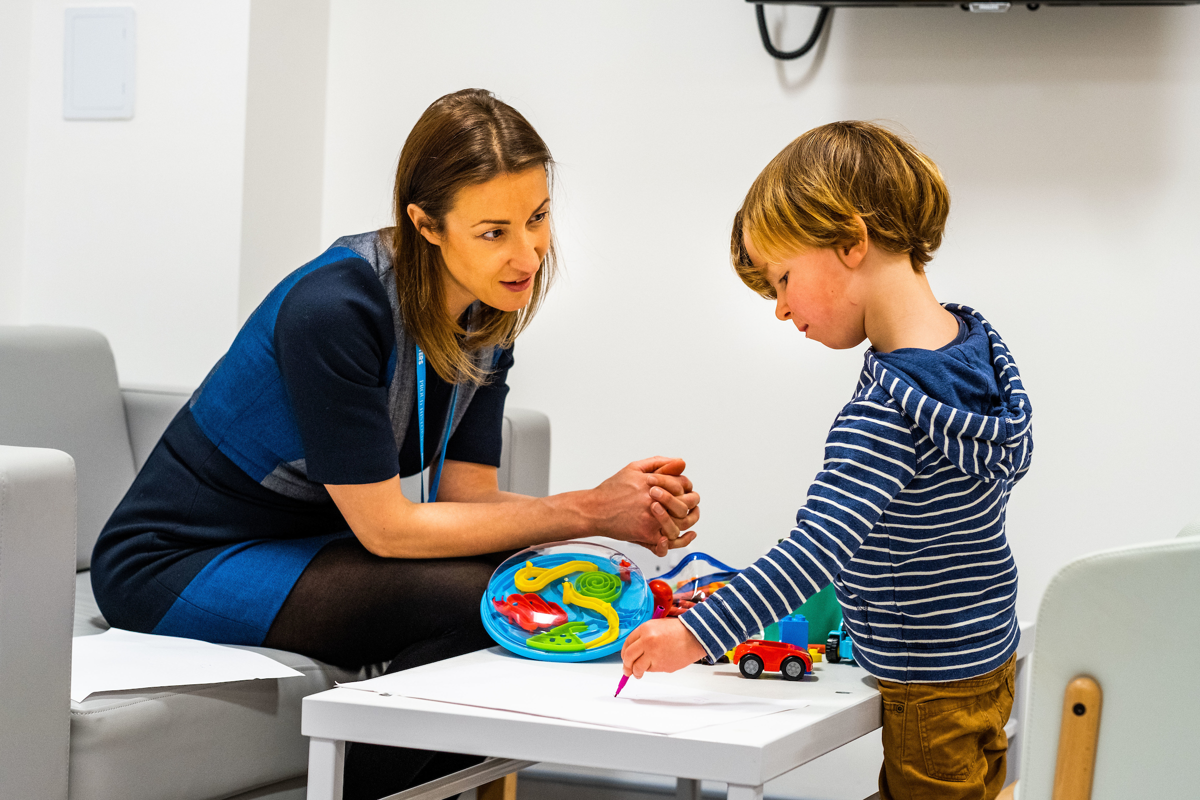 What is a health play assistant?